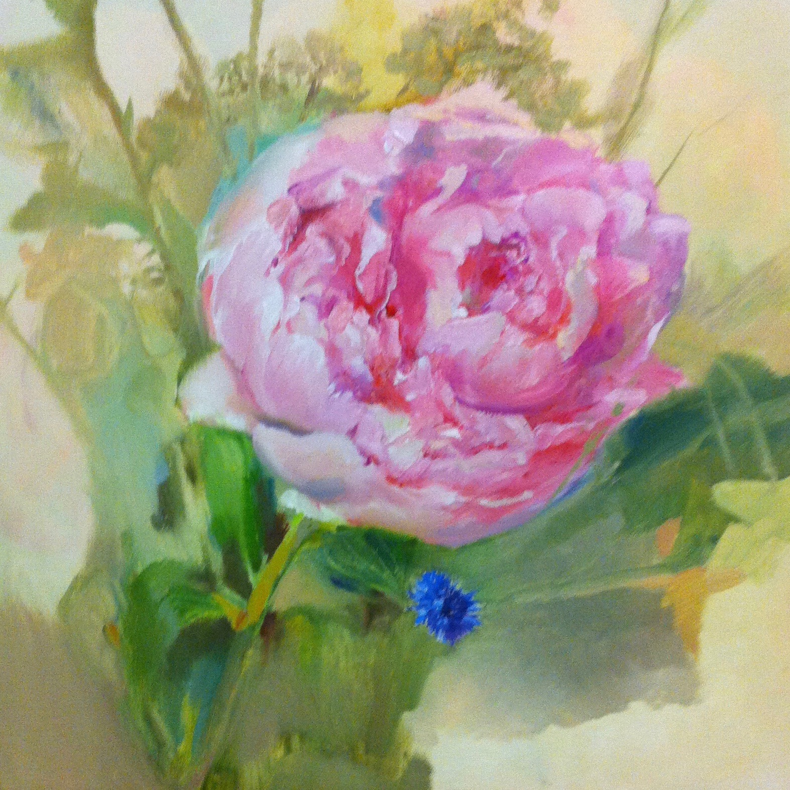 020 'Rosé Peony' Oil on Canvas
