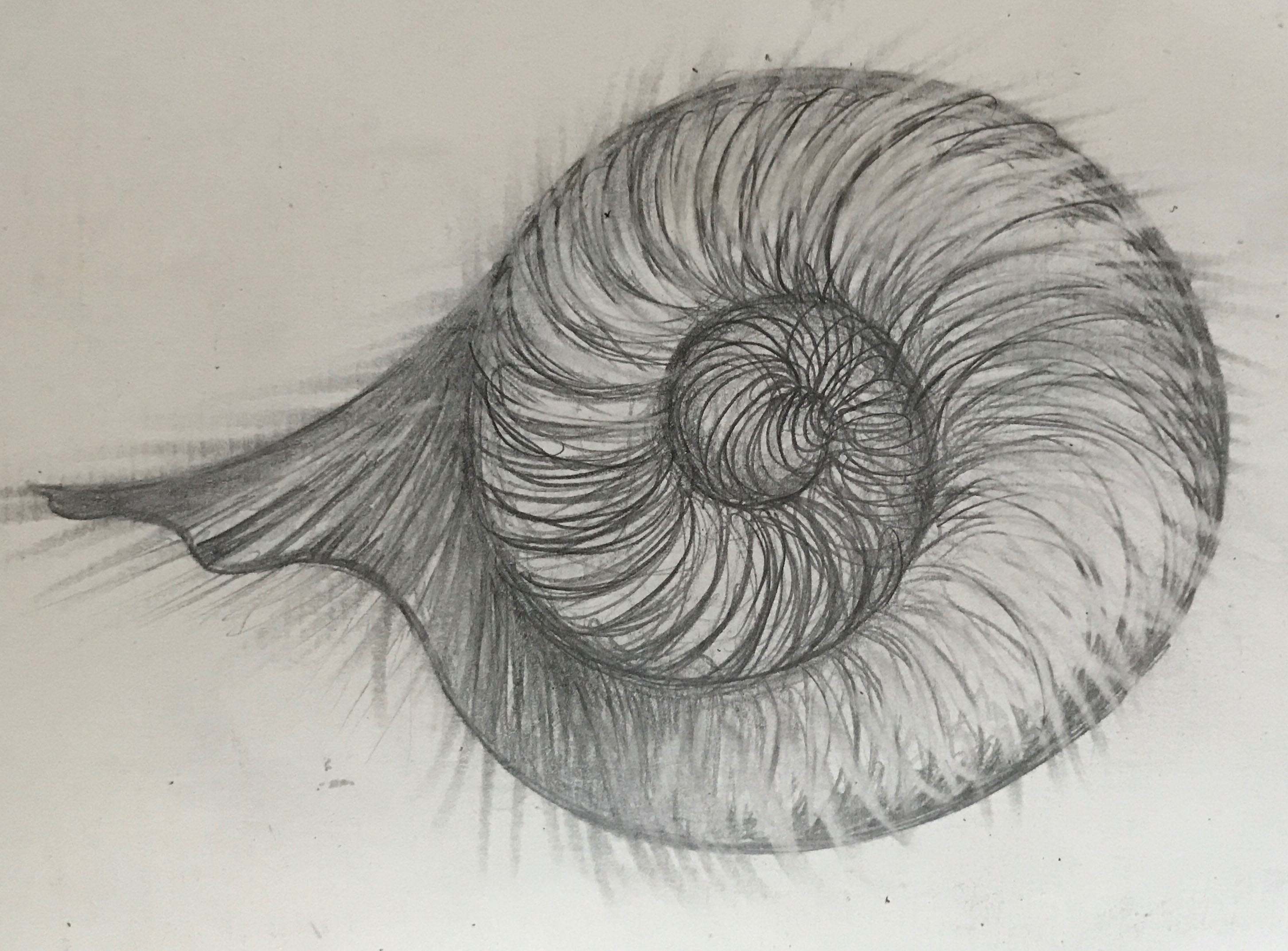  006 'Swirl' Drawing 